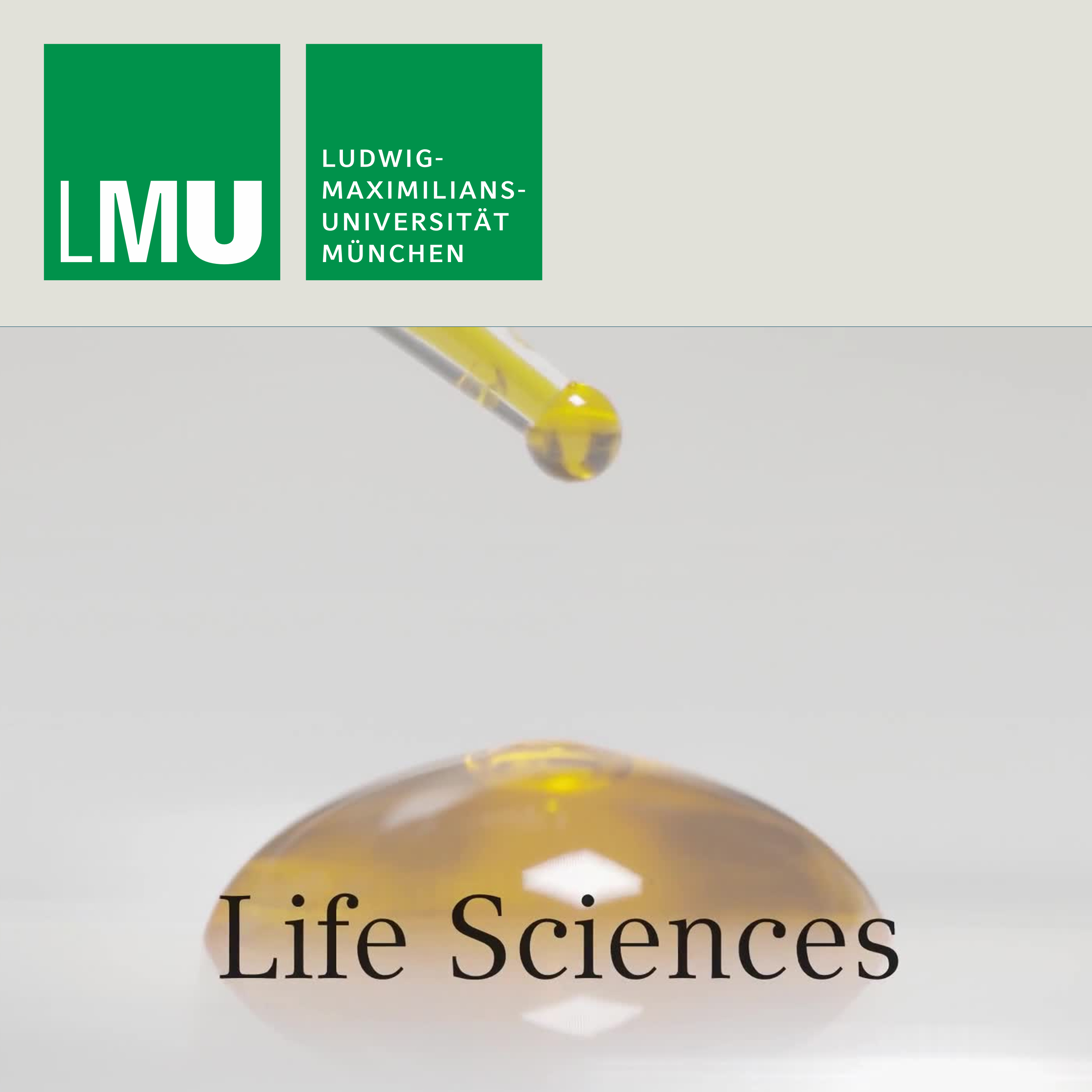 Testimonies from Life Scientists at the LMU